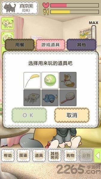我家不可思议的猫咪汉化破解版下载,我家不可思议的猫咪,模拟游戏,养成游戏