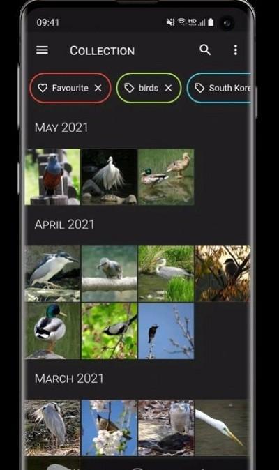 aves图片最新版下载,aves相册,照片app,工具app